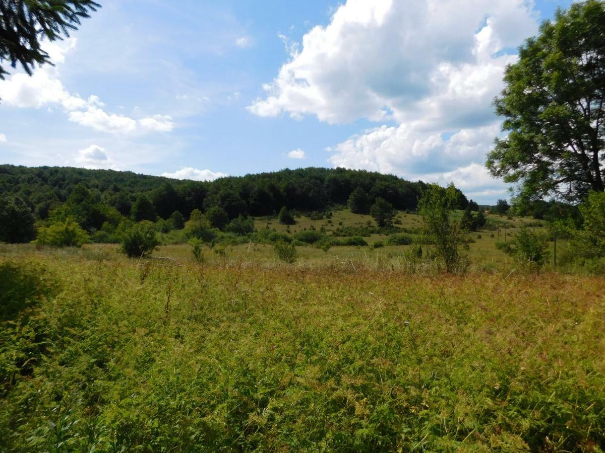 Vacation House Home, Plitvice Lakes National Park 플리트비체 외부 사진